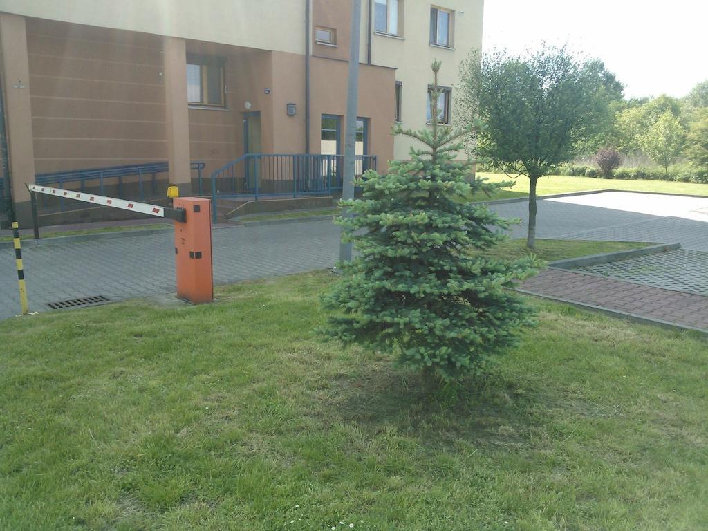 Nature Krakkó Kültér fotó